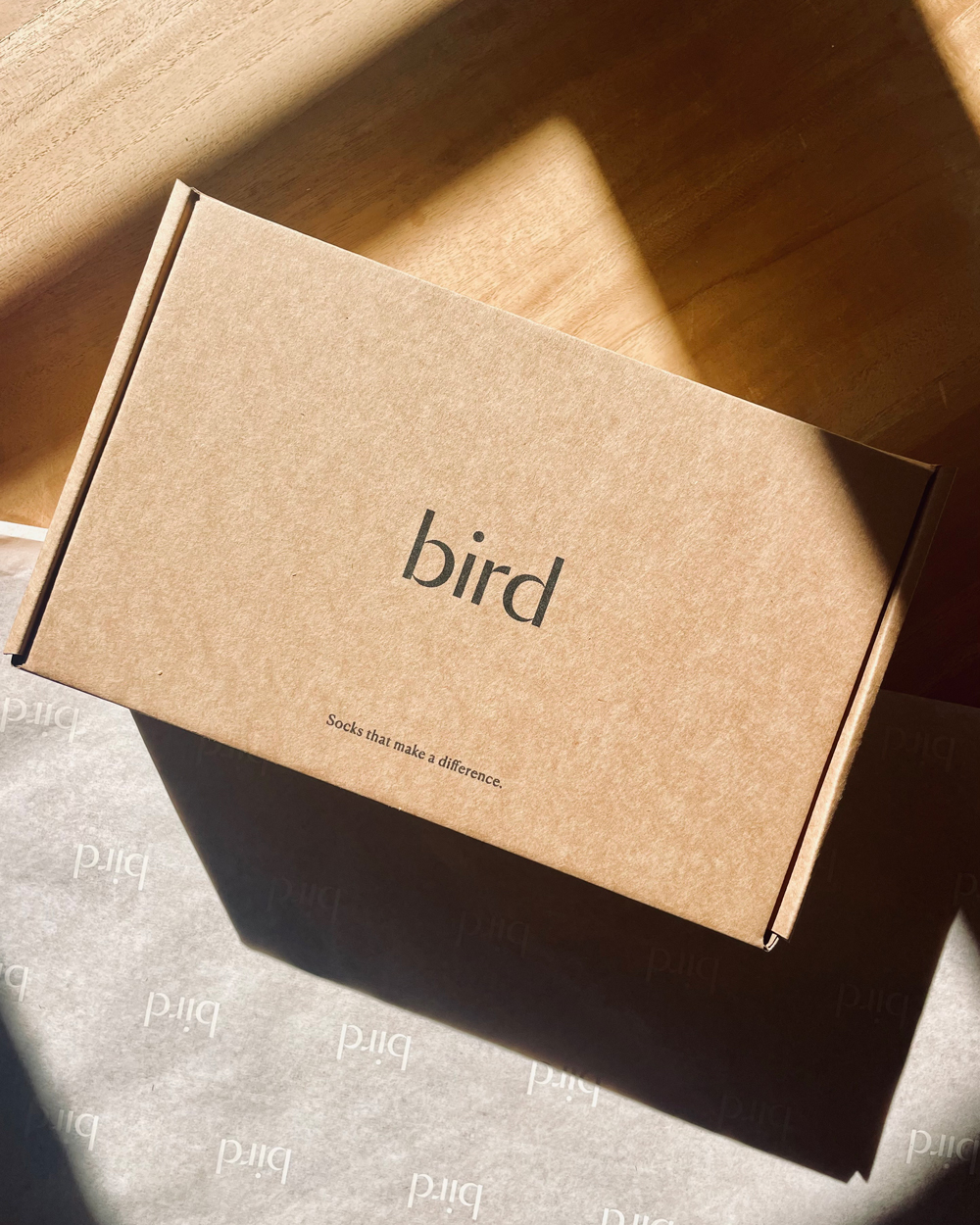 bird-box-1
