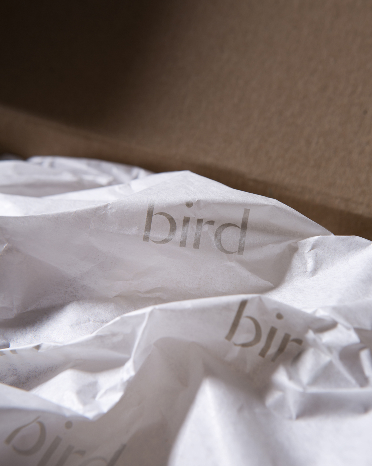 bird-paper